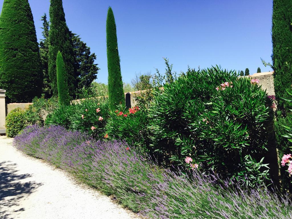 Le Mas Des Lauriers Bed & Breakfast Paradou Exterior foto